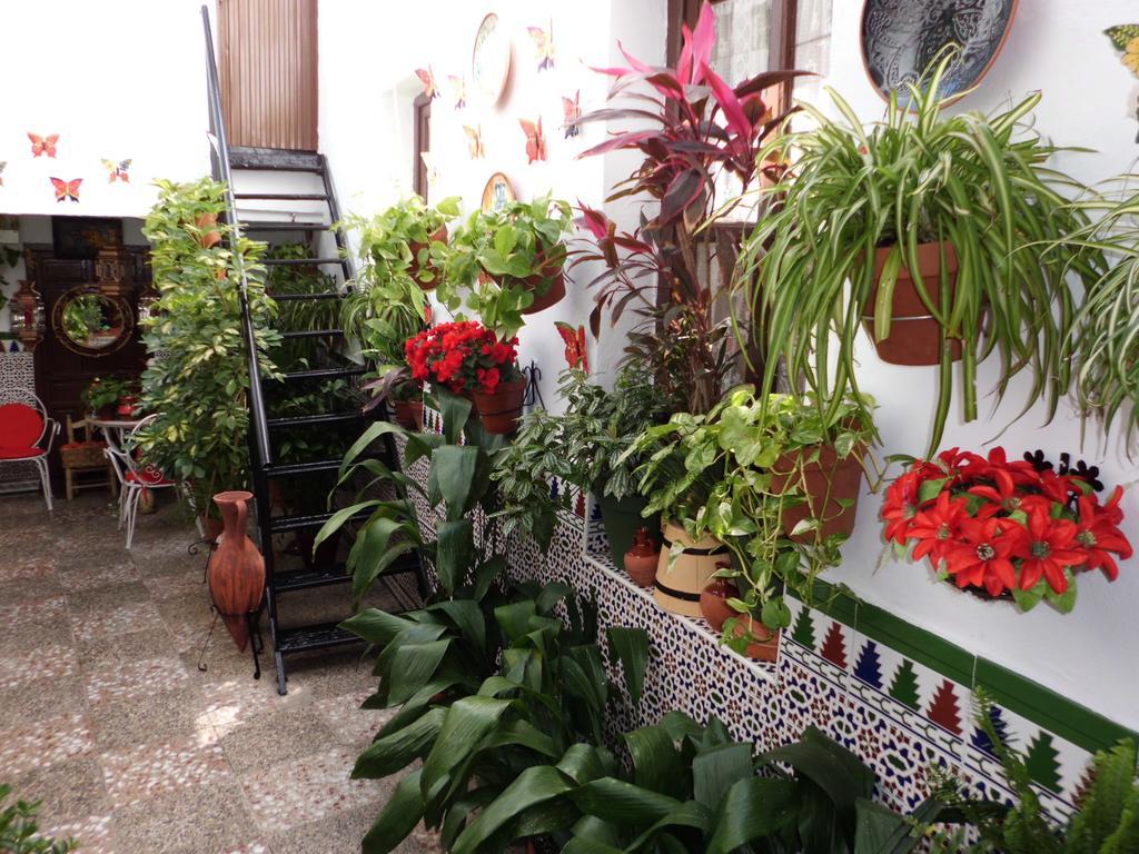 Pension Agustina - Cordoba — Photos 2